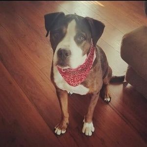 Meet your Posher, Ruben